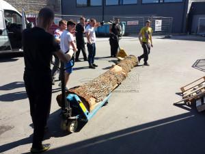 kaubdavedu, transporditeenus, kolimisteenus, mööblivedu, kolimine, kolimisteenus tallinnas, uksest ukseni